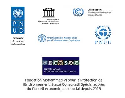 تعاون مؤسسة محمد السادس لحماية البيئة مع أنظمة  الأمم المتحدة