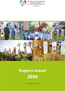 تقرير سنوي 2016