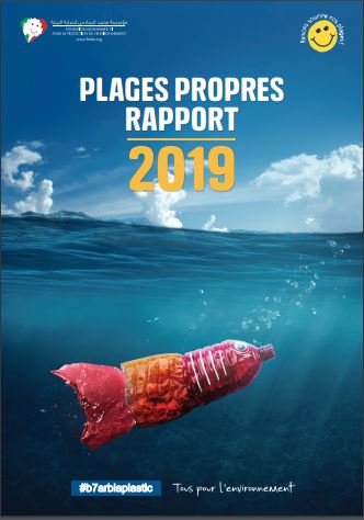 Clean Beaches report 2019