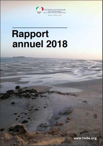 تقرير سنوي 2018