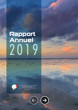 Rapport annuel 2019