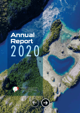 Annual report 2020